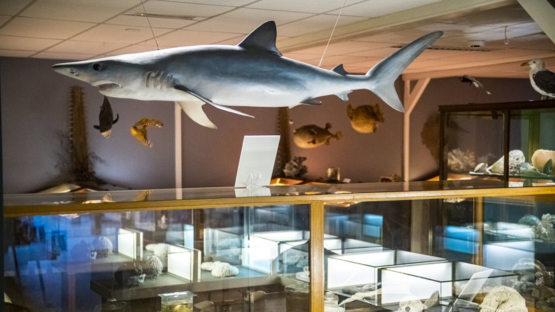 Cursus Collectieplan schrijven (2 ochtenden) | online