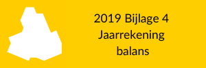 2019 Bijlage 4 Jaarrekening balans